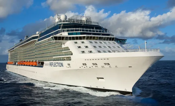 Celebrity Reflection