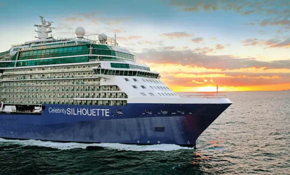 Celebrity Silhouette