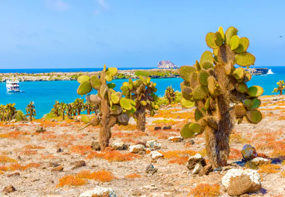 Croisières Iles Galapagos