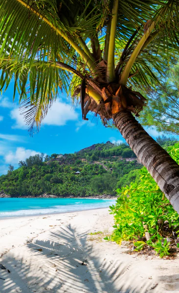 Découvrez nos croisières Caraïbes