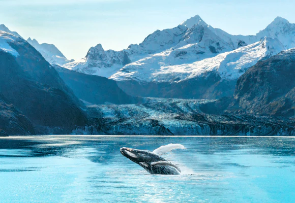 Croisières Alaska