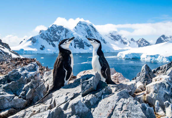 Croisières Antarctique